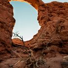 Arches Nationalpark