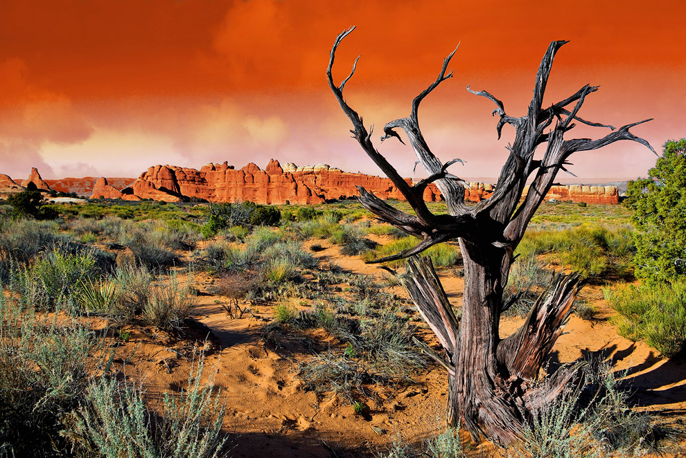 Arches Nationalpark von Olaf Schober