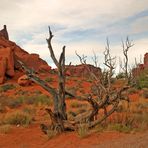 Arches Nationalpark