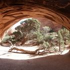 Arches NP