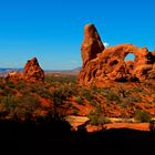 Arches NP 1