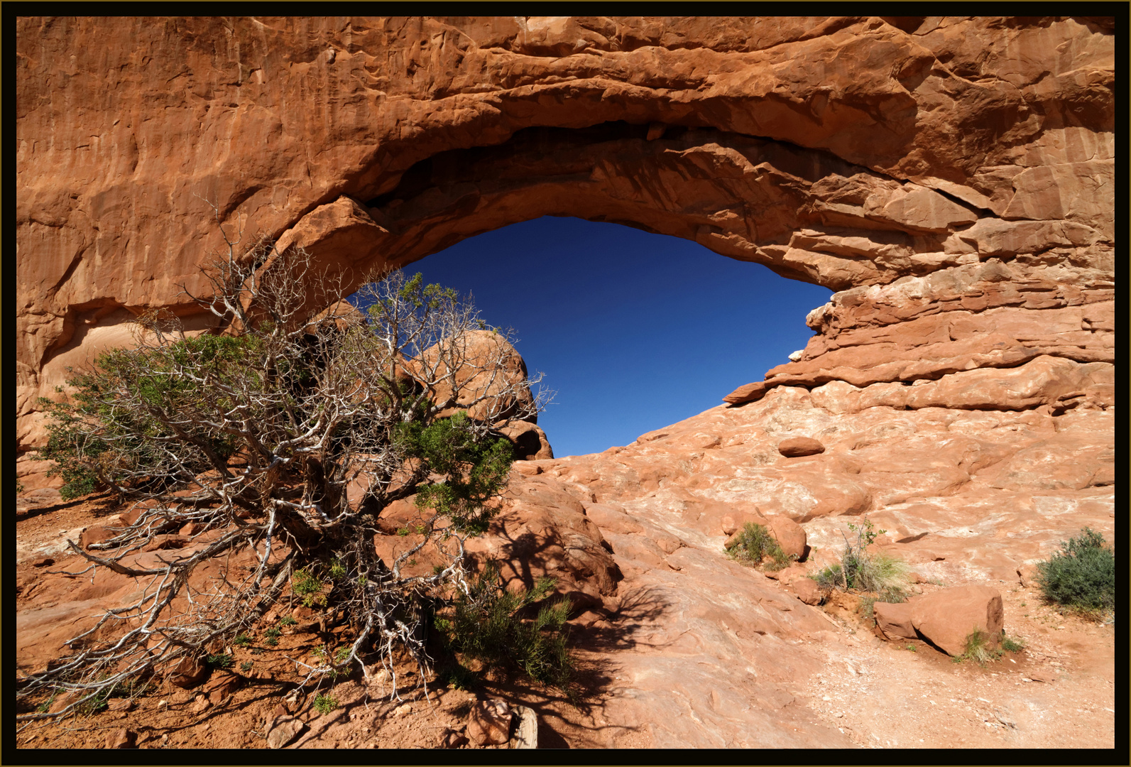 Arches NP 3