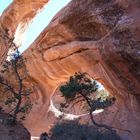 Arches N.P. Double Arch Utah