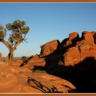 Arches NP I