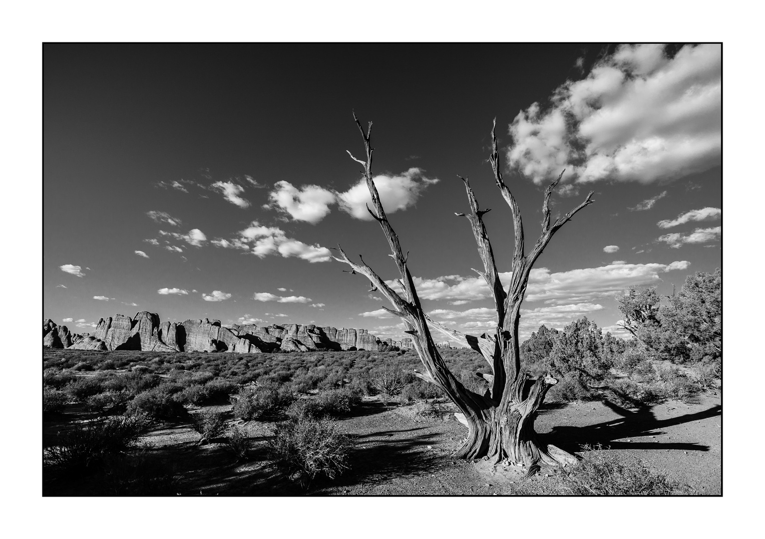 Arches NP II