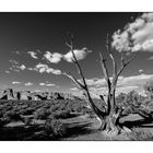 Arches NP II