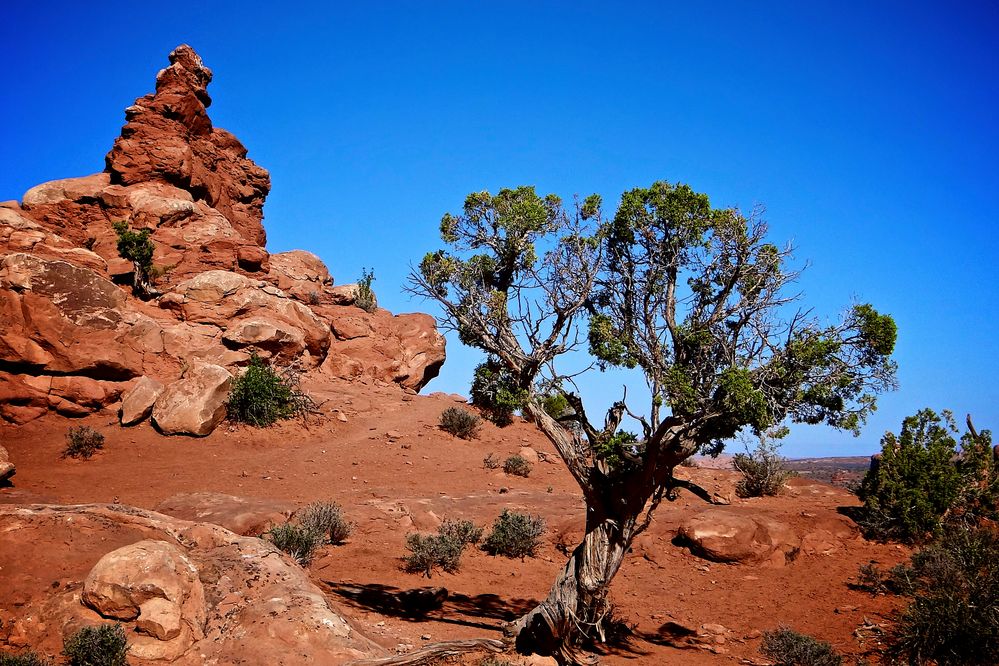 Arches NP II