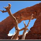 Arches NP IV