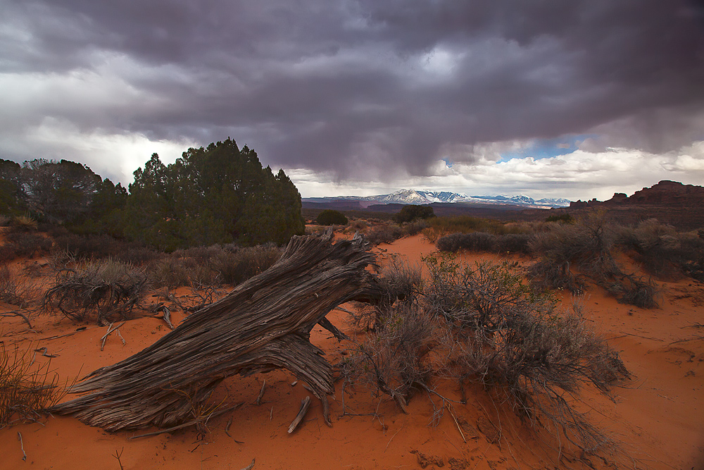 Arches NP - kurz vor dem Regen