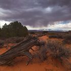 Arches NP - kurz vor dem Regen