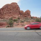 Arches NP - New Beetle