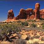 Arches NP - Parade of Elephants