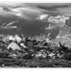 Arches NP später Nachmittag