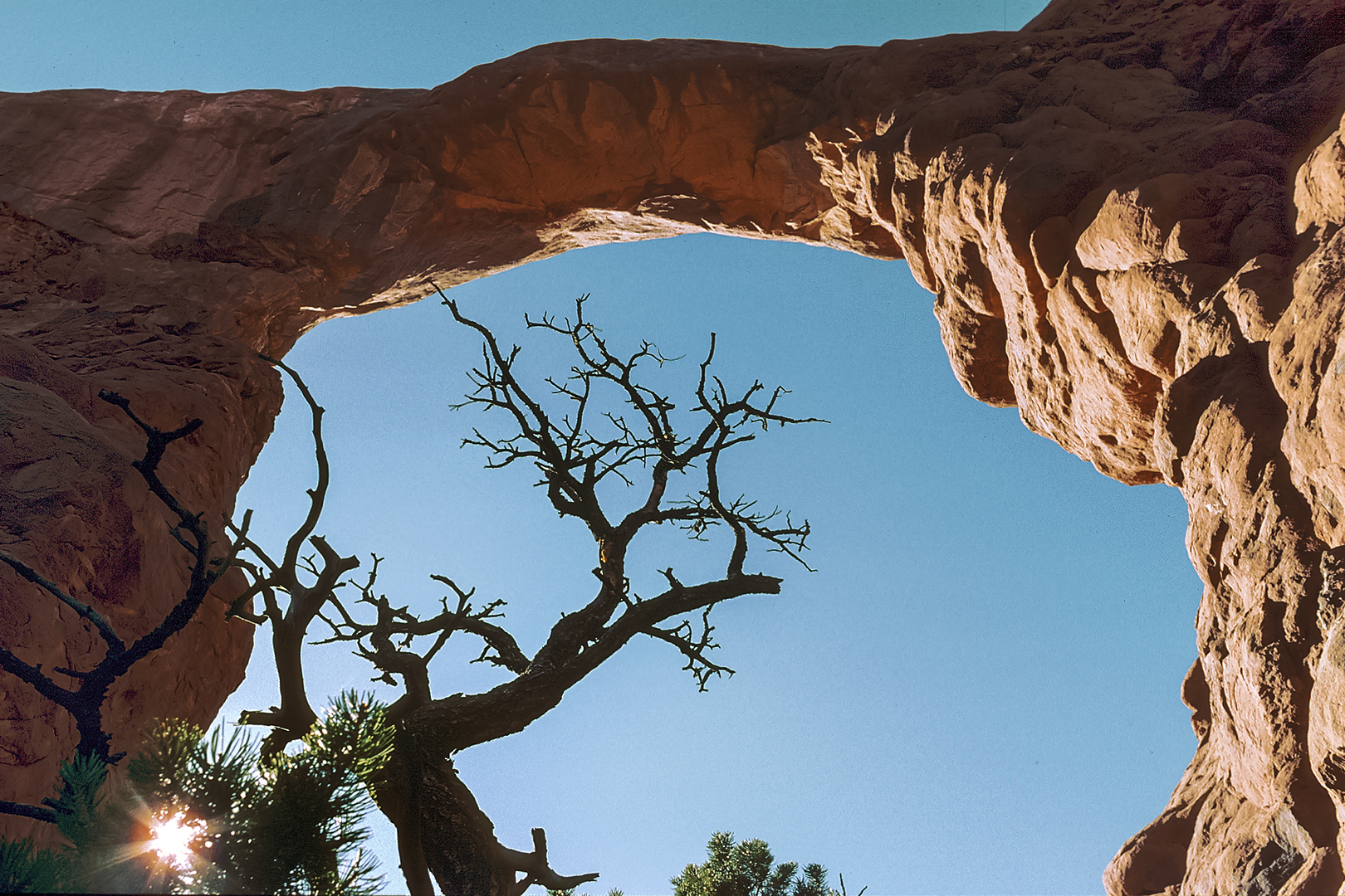 ARCHES NP, UTAH (USA)