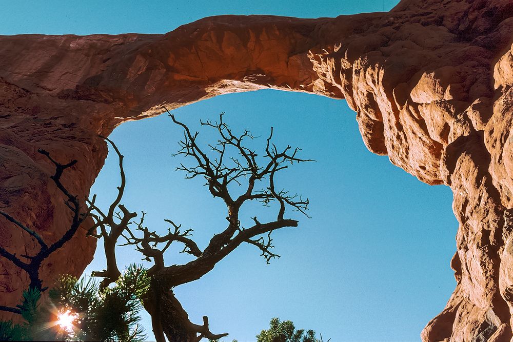 ARCHES NP, UTAH (USA)