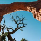 ARCHES NP, UTAH (USA)