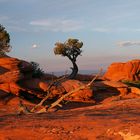 Arches NP vor dem Sonnenuntergang