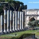 Arches of Titus