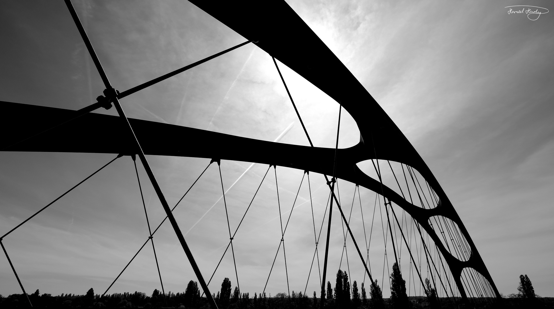 arches, ovals, struts and trees