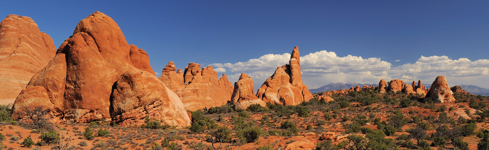 *Arches Panorama*