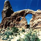 Arches Pur