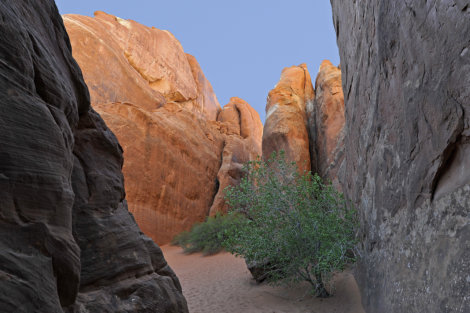 Arches Sand Dunes