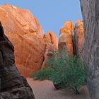 Arches Sand Dunes