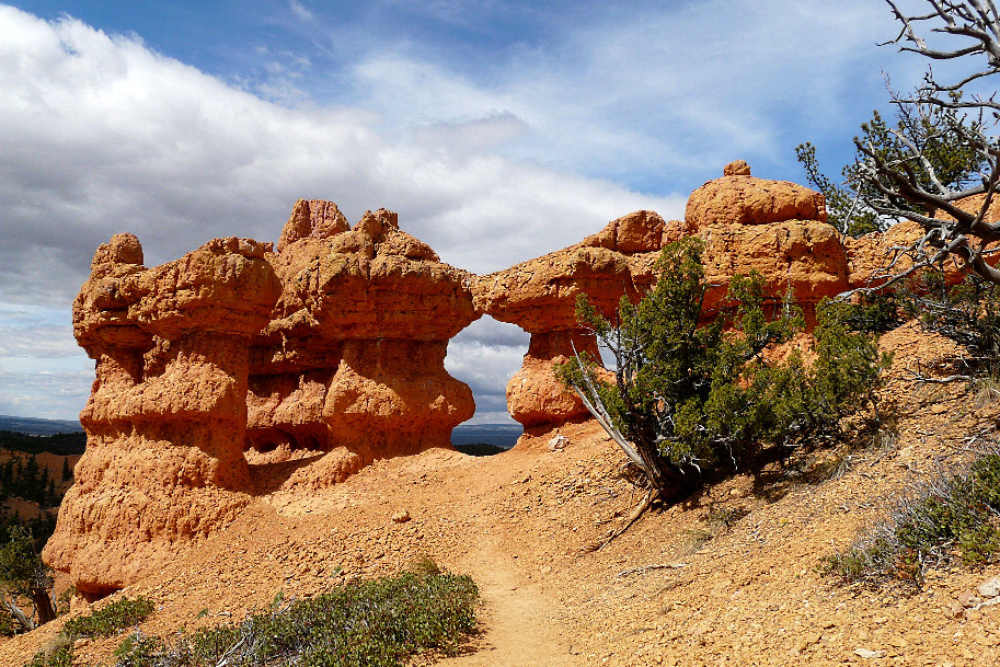 Arches Trail