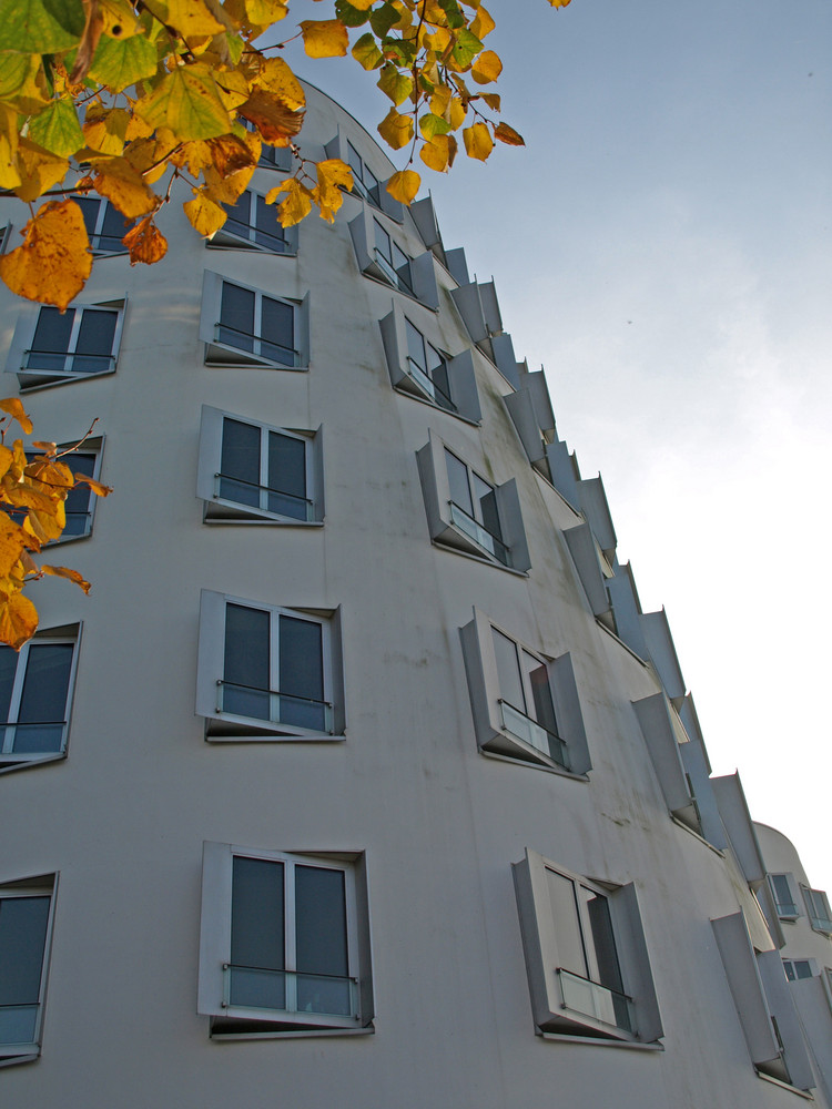 Architektur im Herbst