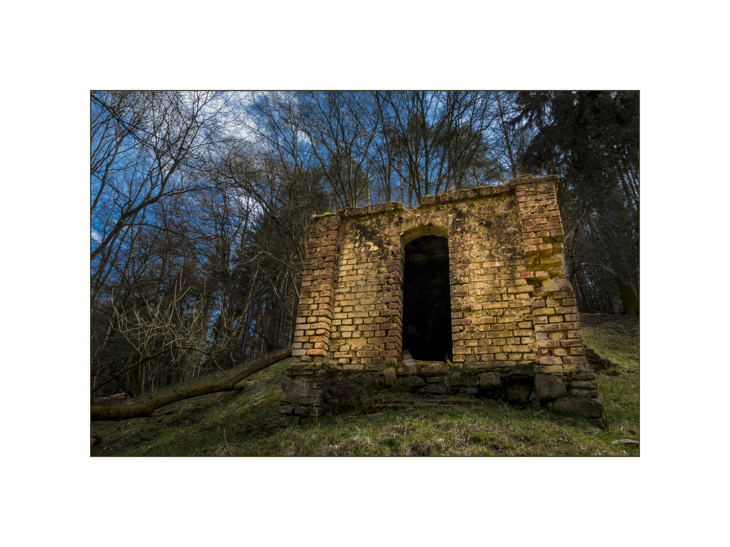 Architektur im Wald 