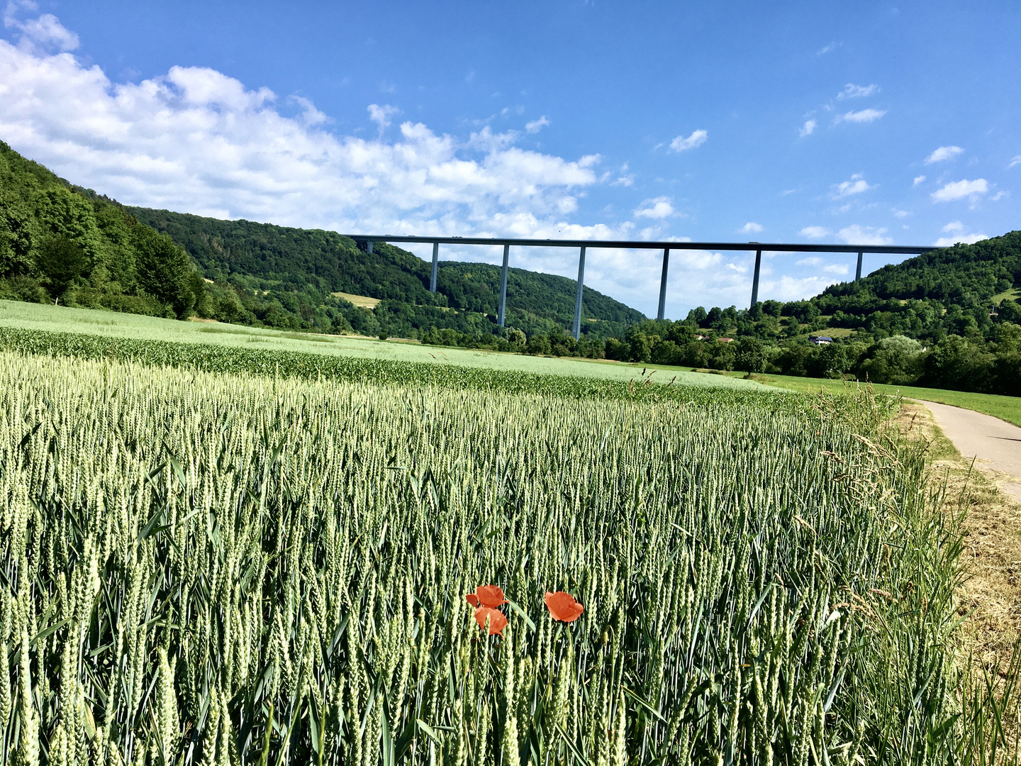 Architektur und Natur