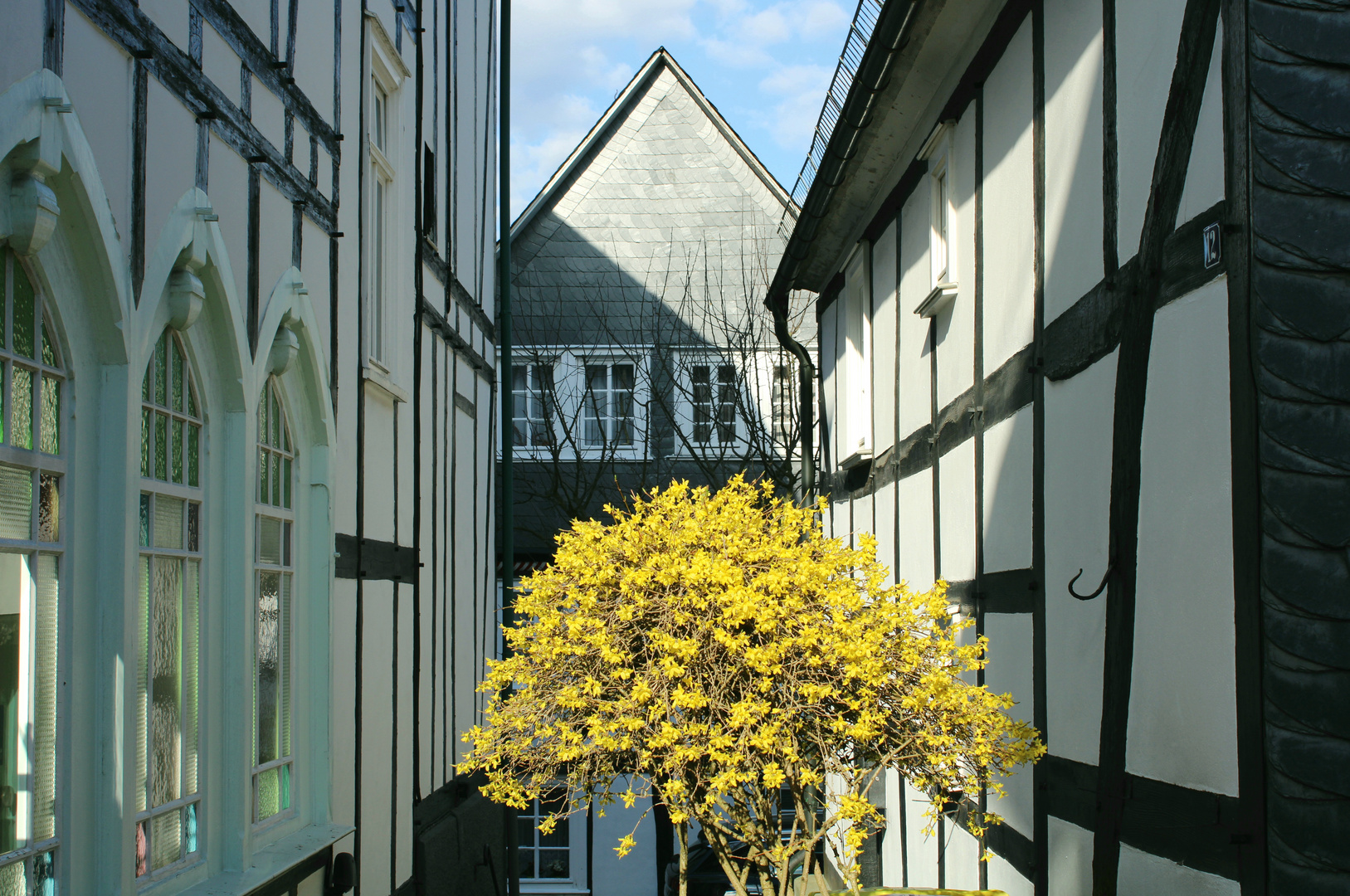 Architekturblümchen