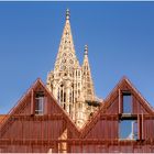 ~ Architekturgegensätze in Ulm ~