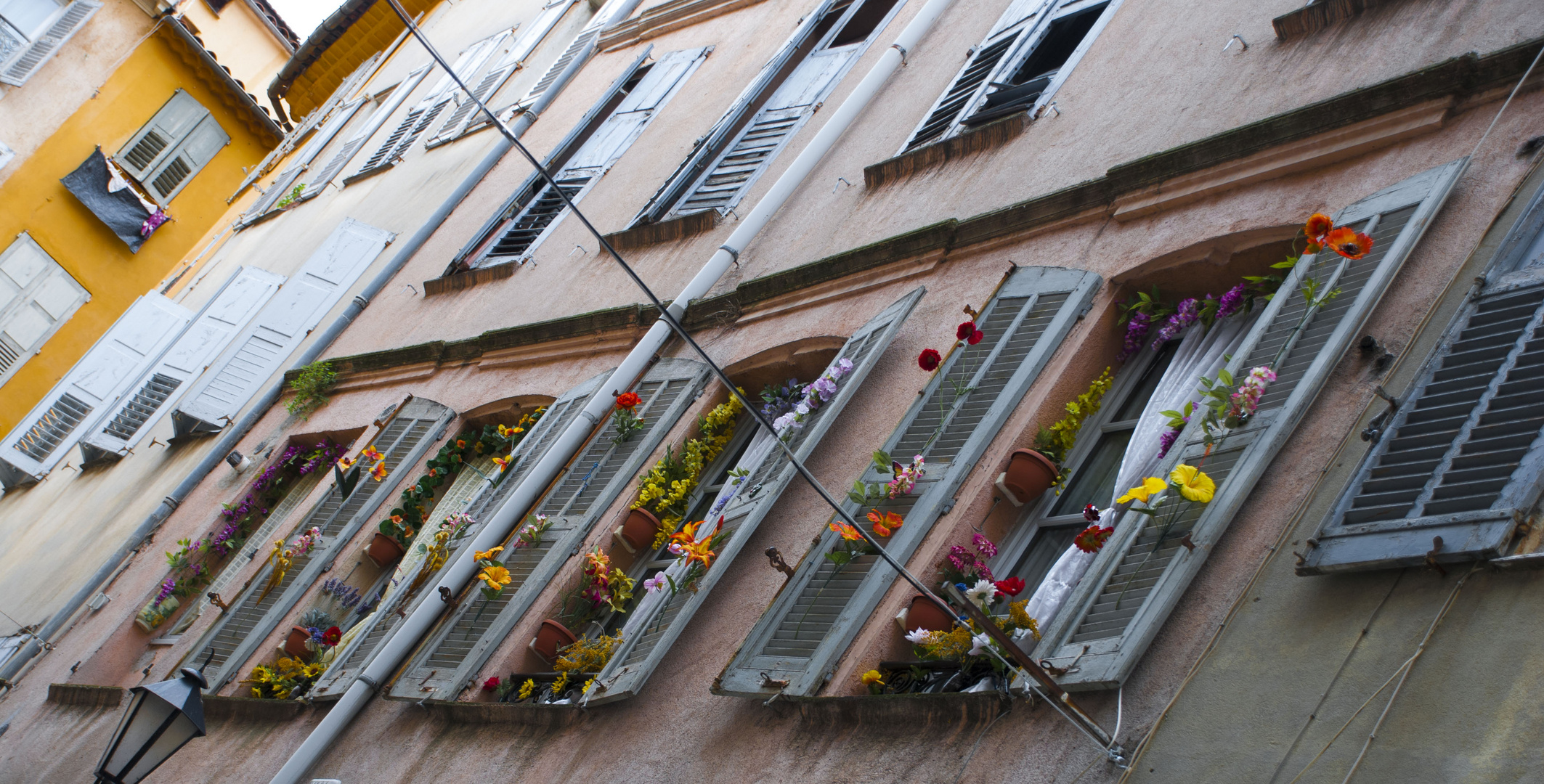 Architettura Costa Azzurra 3 - i fiori di grasse