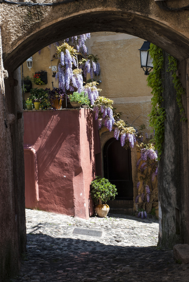 Architetture Costa Azzurra 4 - i silenzi di Biot