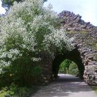 Archiv  15.05.2015  Frühling in der Eremitage Bayreuth 