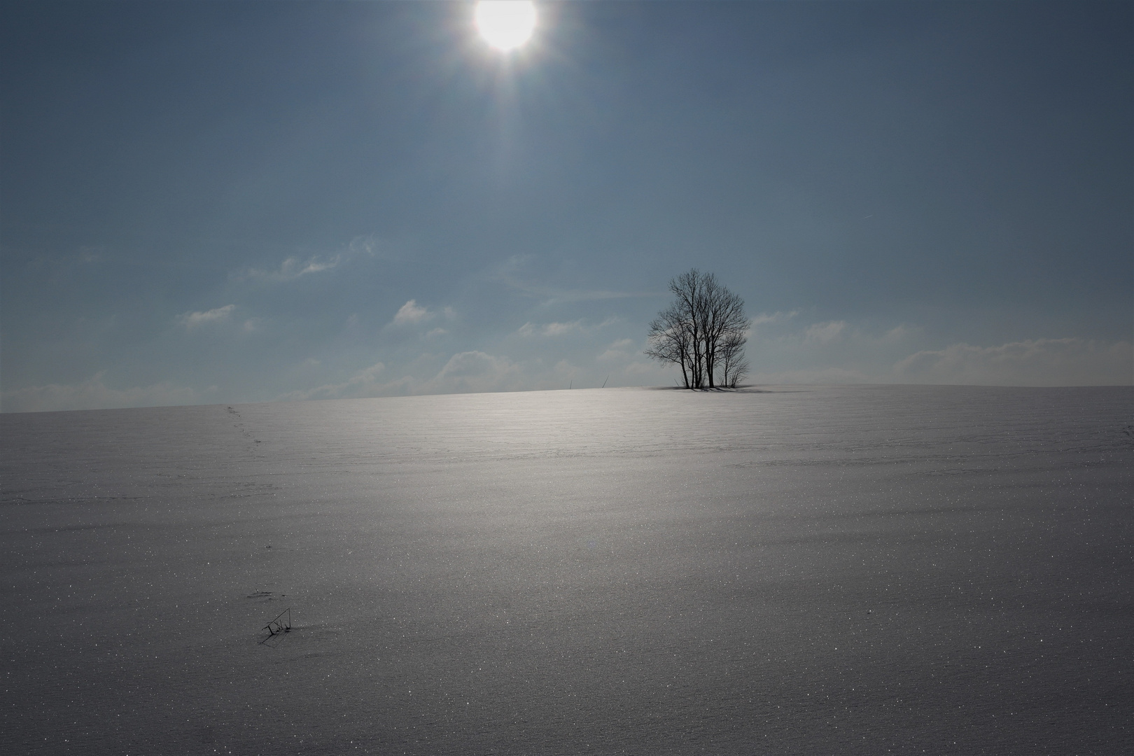  Archiv  18.1.2017  Glitzerkälte am Friedmannsdorfer Berg