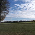 Archiv :2.11.2018 Wald und Wiesen unter blauem Himmel