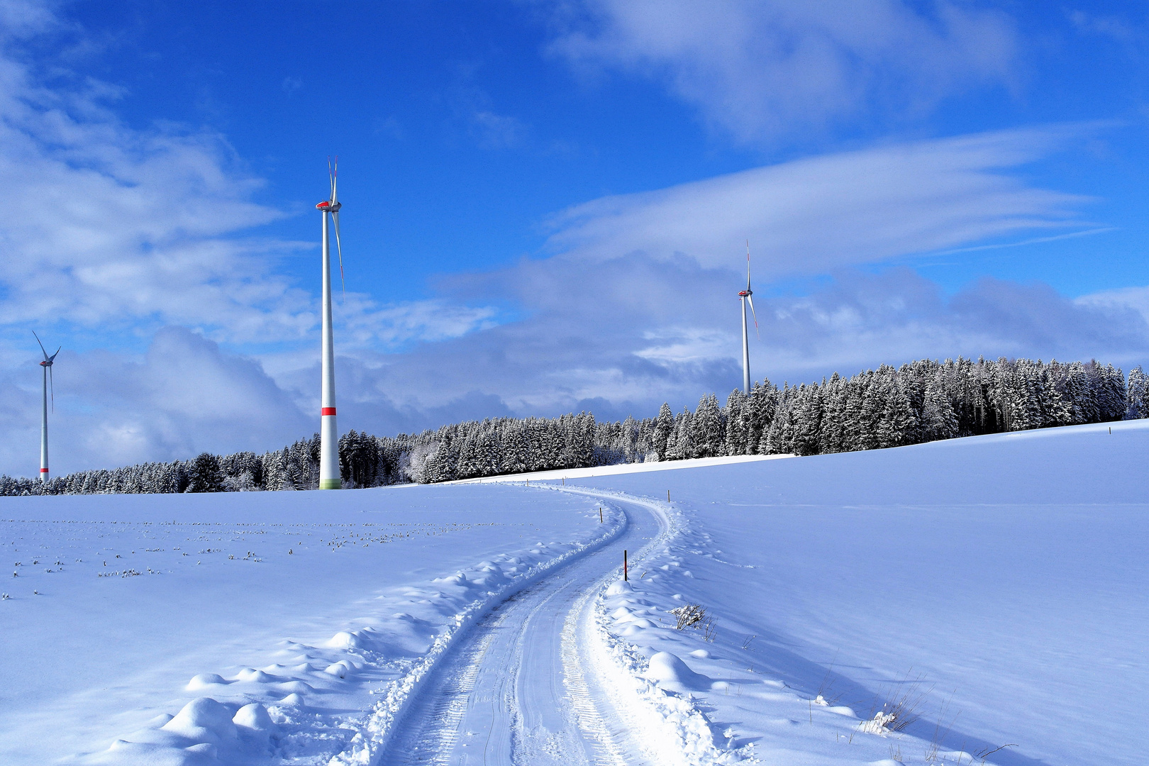 Archiv : 21.1.2018  Winterweg zu den Windrädern