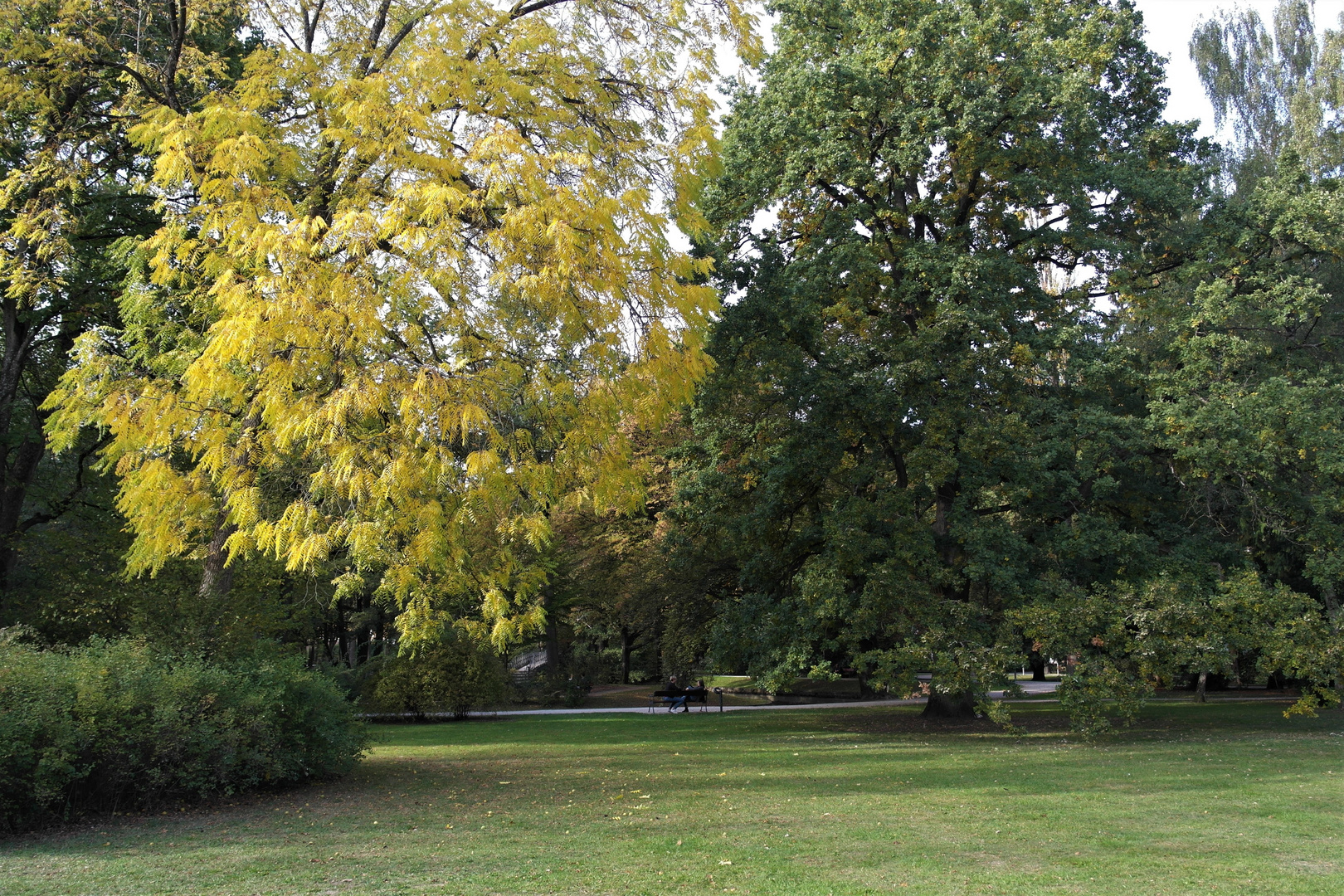 Archiv 9/2018 : Hofgarten Bayreuth im Spätsommer