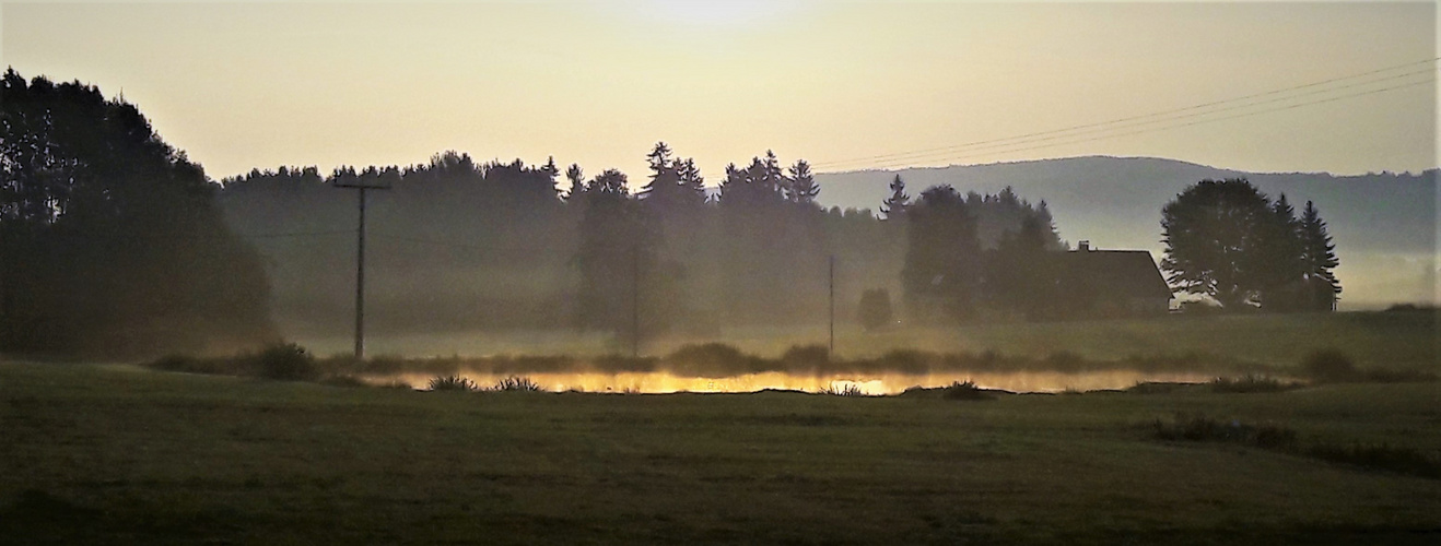 Archiv :Morgenstund hat Gold im Teich 28.8.2019