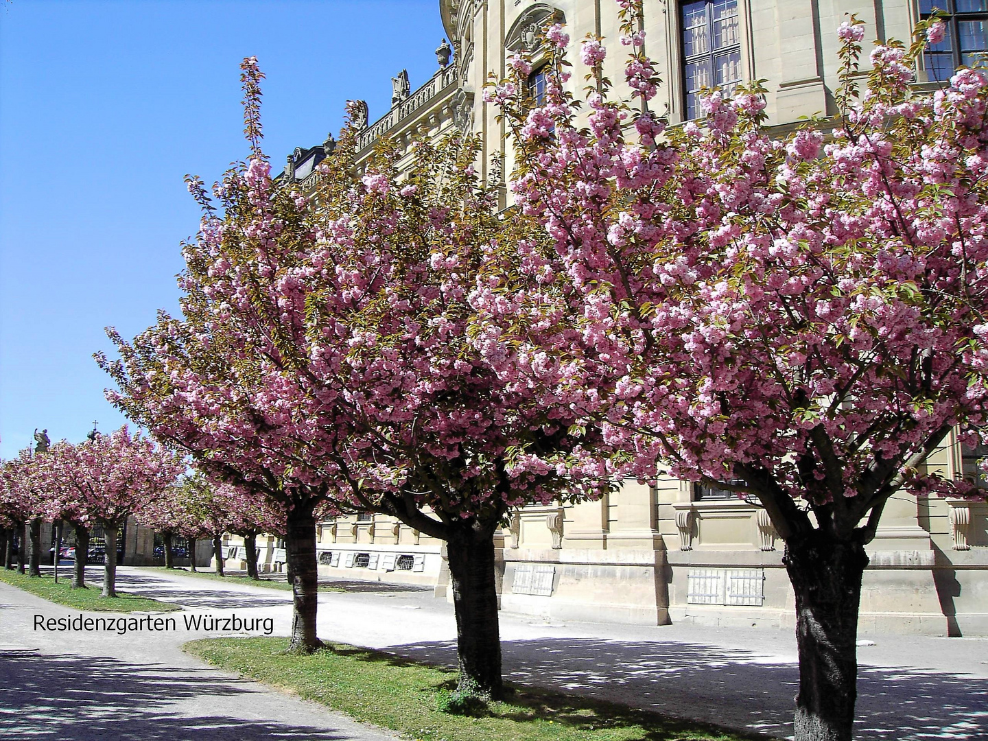 Archiv :Residenzgarten Würzburg 17.4.2007