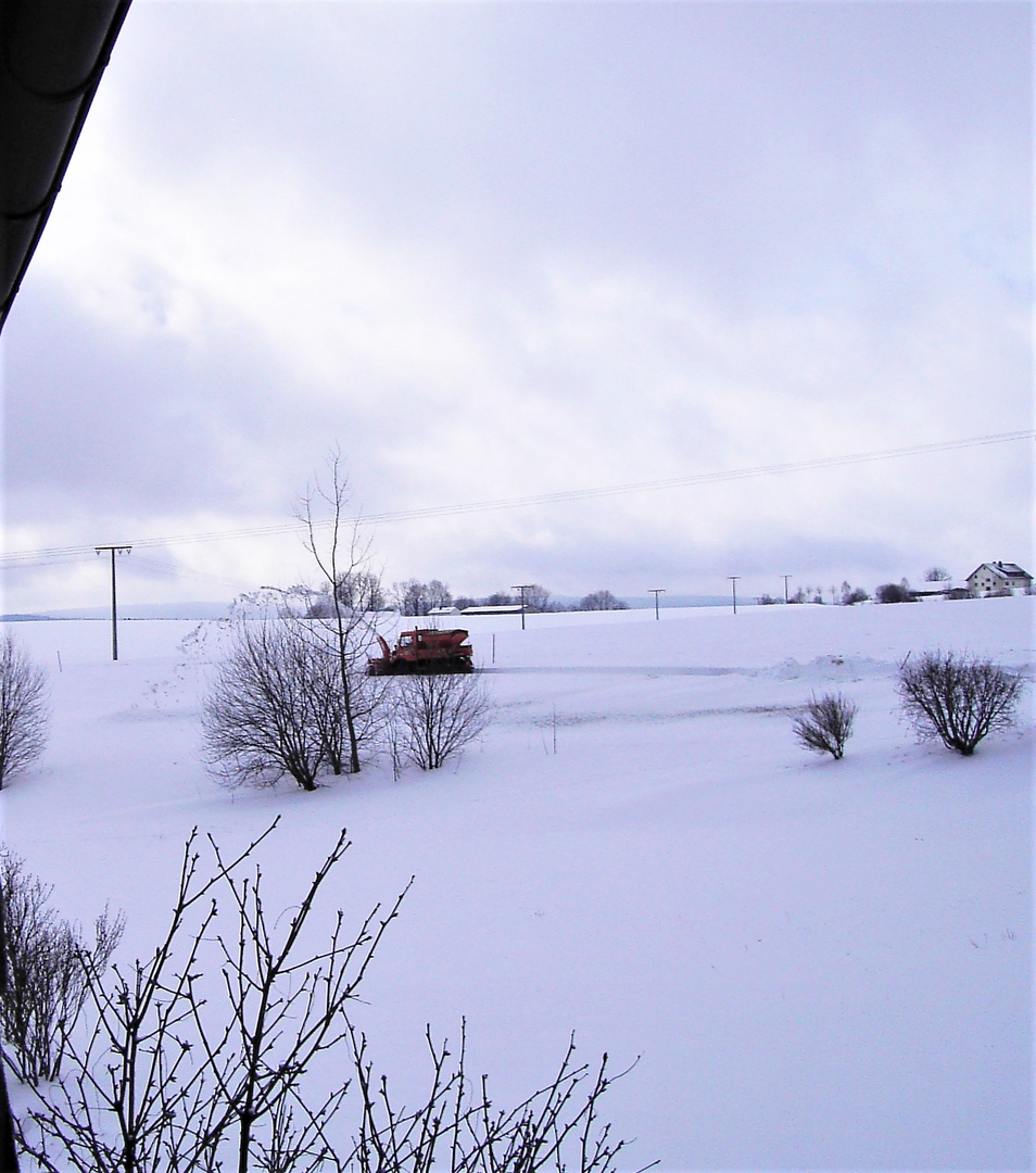 Archiv  Schneefall  vor ziemlich genau  12 Jahren 23.03 Ostern 2008 