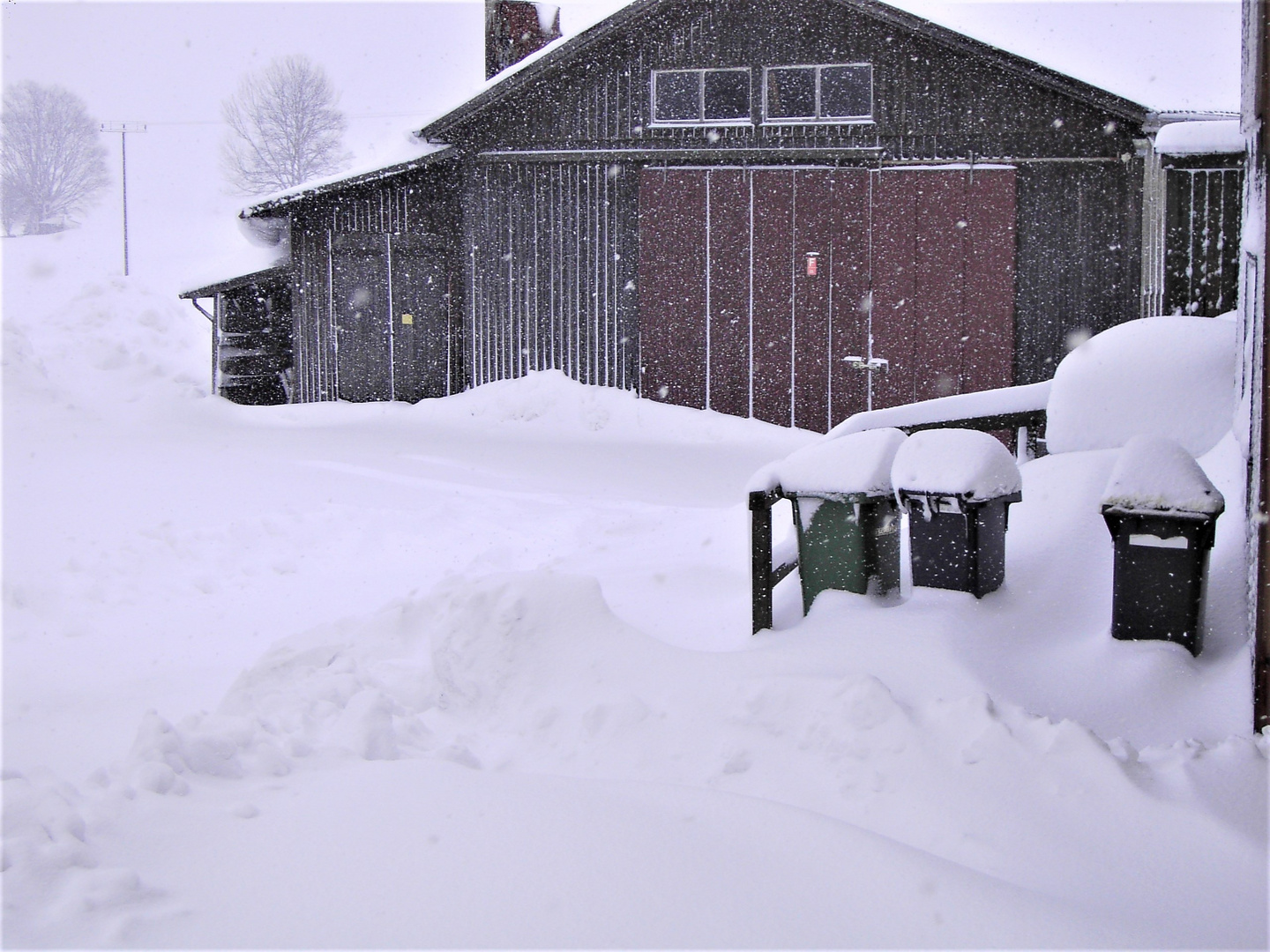 Archiv :Schneesturm  Februar 2006