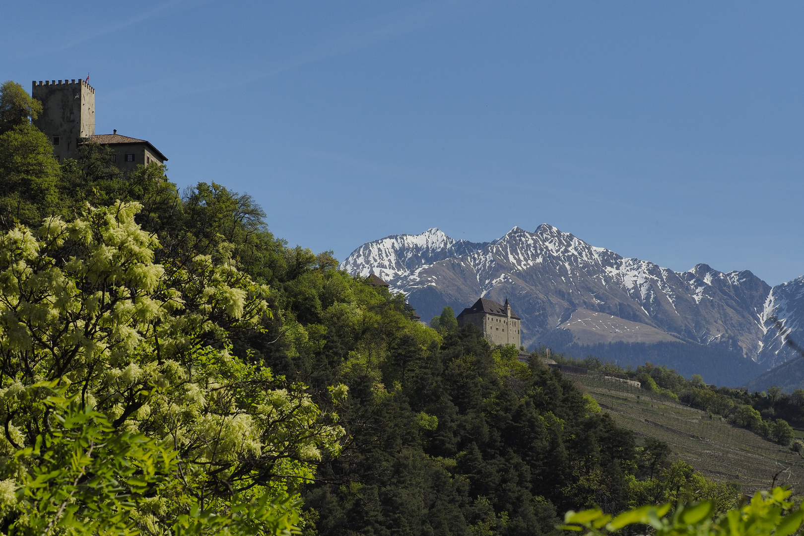 ARCHIV SÜDTIROL