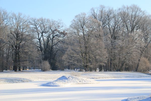 Archivaufnahme aus dem Park Branitz bei Cottbus