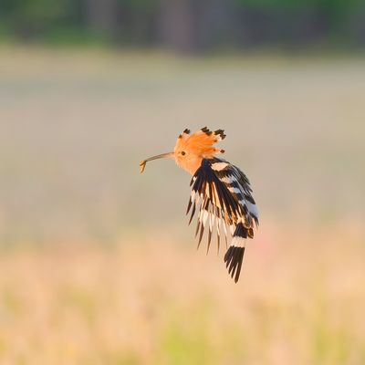 Archivaufnahme von 2023