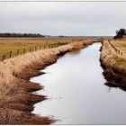 Archsumer Landschaft