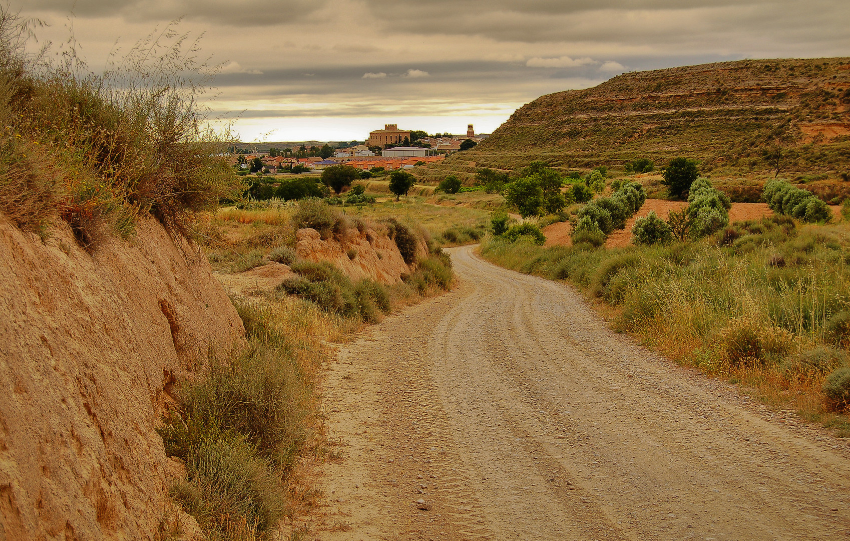 ARCILLA DEL CAMINO