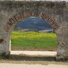 arco al campo